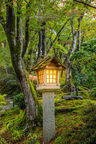 istock Japanese style garden 624968186