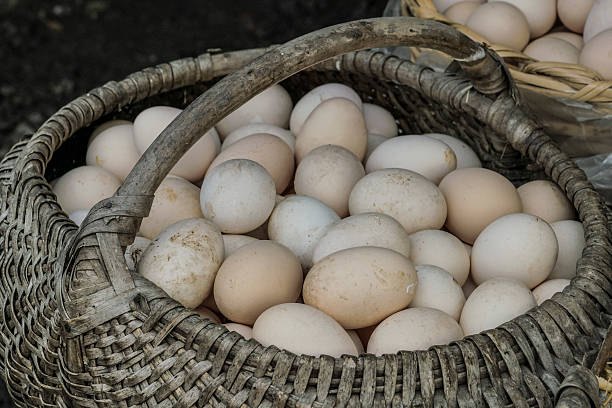 istock fresh eggs in a basket for sale at a market 624974642