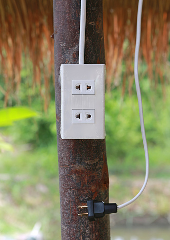 Tree Plug Out Plug And Socket On Tree For Outdoor Using Stock Photo - Download Image ...