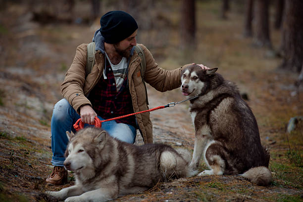istock bearded model man with his two dogs in forest 624979280
