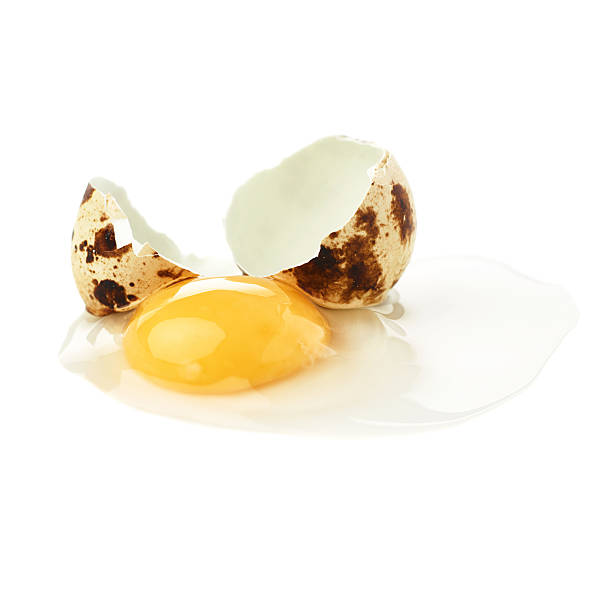 istock Cracked raw quail egg with yolk isolated over white background 624991532