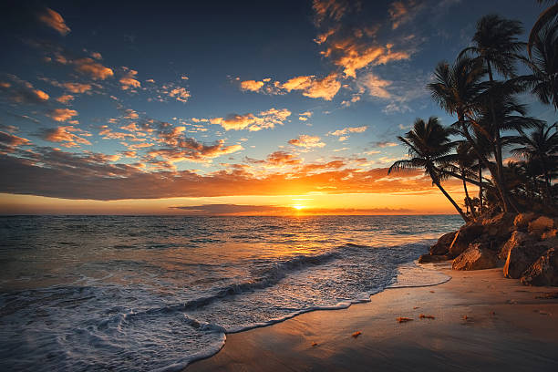 lever de soleil sur une île tropicale. palmiers sur plage de sable fin. - coucher de soleil photos et images de collection