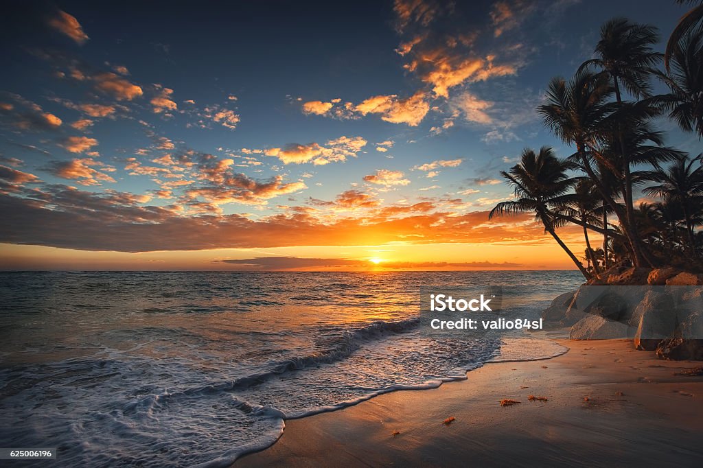 Alba su un'isola tropicale. Palme sulla spiaggia sabbiosa. - Foto stock royalty-free di Tramonto