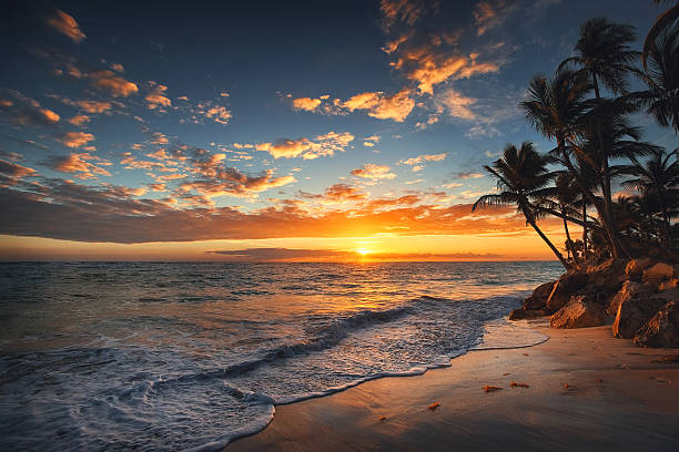 sunrise on a tropical island. palm trees on sandy beach. - hawaï eilanden stockfoto's en -beelden