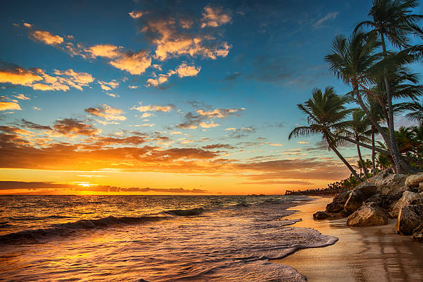 Sunrise on a tropical island. Landscape of paradise tropical isl Landscape of paradise tropical island beach, sunrise shot southern california palm trees stock pictures, royalty-free photos & images