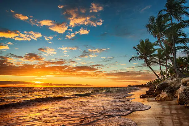 Photo of Sunrise on a tropical island. Landscape of paradise tropical isl