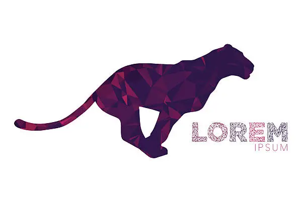 Vector illustration of panther, puma, wild cat logo. Animal logo, label, mascot, symbol