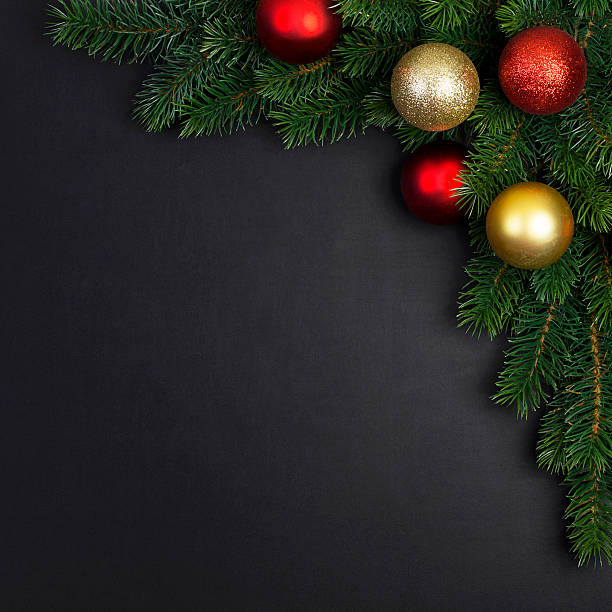istock branch of a Christmas tree 625007010