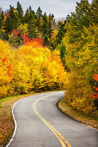 istock Road to Autumn colors 625007432