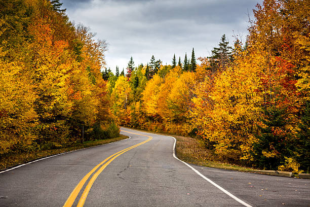 istock Road to Autumn colors 625007656