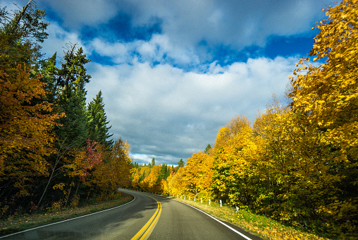 Road surrounded by the beauty of Autumn colors in La Mauricie National Park situated near Shawinigan in the province of Quebec, Canada.