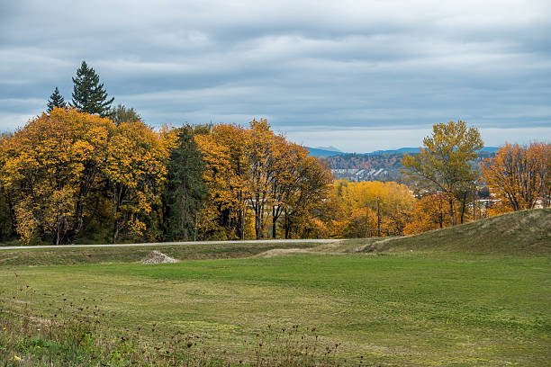 Many shades of Autumn yellow are revealed in Kent, Washington.
