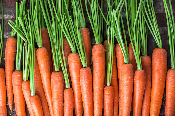 groupe aérien carotte aligné sur une vieille table en bois brun - carrot vegetable food freshness photos et images de collection