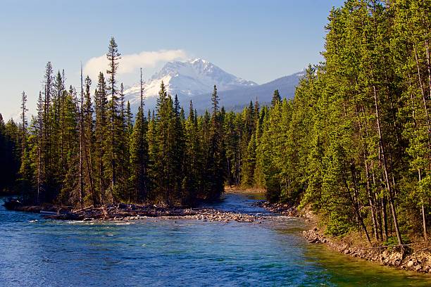 istock Banff Springs National Park 625010012
