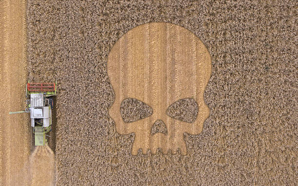 pesticides on field farm pesticides on field farm. Hayfield fertilized. Skull on field. crop circle stock pictures, royalty-free photos & images