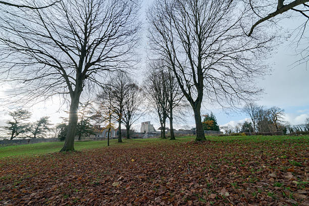 istock Farnham Castle captured from Farnham Park in Surrey 625010642
