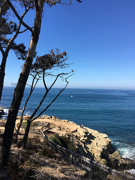 istock Double Bear Claw La Jolla San Diego California 625037140