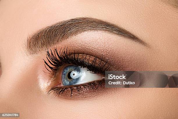 Closeup Of Woman Eye With Beautiful Brown Smokey Eyes Makeup Stock Photo - Download Image Now