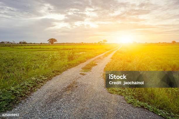 Sharp Activity Road Asphalt Road Sharp Curve With Sun Light Stock Photo - Download Image ...