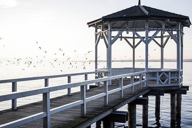 istock Gazebo and flock of birds 625057190