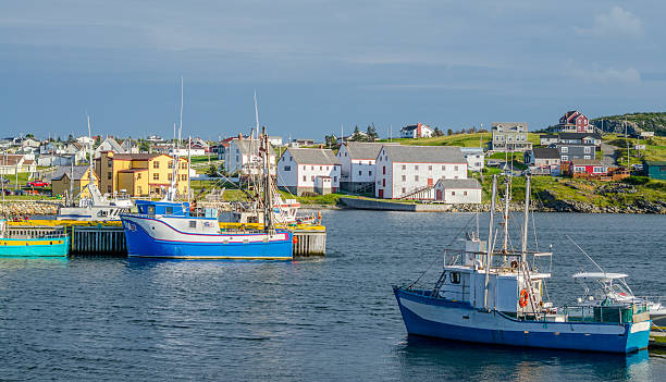Fishing boats in the village harbour in Bona Vista, Newfoundland, Canada. Bona Vista, Newfoundland fishing village.   Boats tied up - in for the day, bright sunshine on calm coastal water. newfoundland and labrador photos stock pictures, royalty-free photos & images