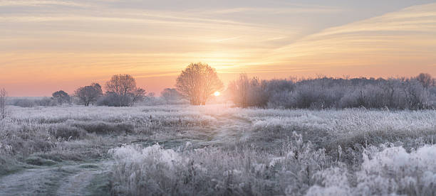 istock Winter rising sun illuminate white grass with hoarfrost 625059448
