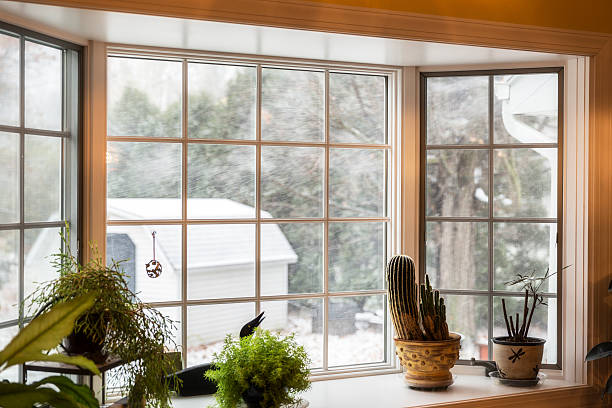 Contrasting Wind Whipped Outdoors Snowflakes and Warm Indoor Potted Plants Looking through the bay window toward the back yard utility shed - contrasting the frozen, wind-whipped, blizzard snow storm snowflakes streaking by horizontally outdoors; with the warm, calm, tranquil group of indoor gardening potted plants arrayed on the bay window alcove seat/shelf. Somewhat mottled, warm, yellow, incandescent lighting indoors from the dining room chandelier behind the camera. November in the Finger Lakes Region - near Rochester, New York State, USA. bay window stock pictures, royalty-free photos & images