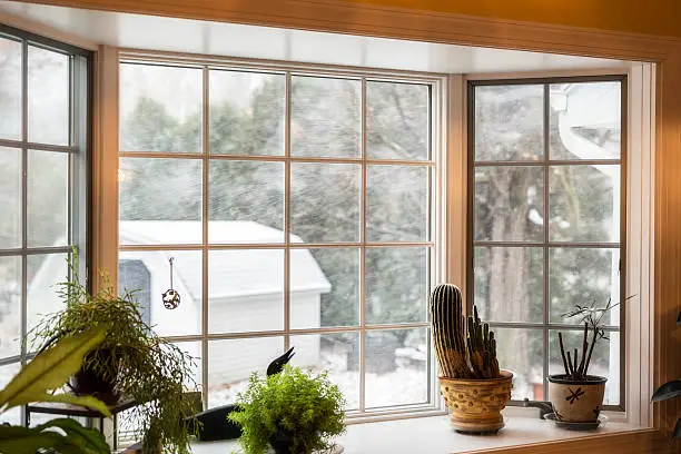 Looking through the bay window toward the back yard utility shed - contrasting the frozen, wind-whipped, blizzard snow storm snowflakes streaking by horizontally outdoors; with the warm, calm, tranquil group of indoor gardening potted plants arrayed on the bay window alcove seat/shelf. Somewhat mottled, warm, yellow, incandescent lighting indoors from the dining room chandelier behind the camera. November in the Finger Lakes Region - near Rochester, New York State, USA.