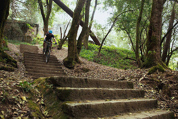 istock Adventurous latin man cycling down steps in forest 625066838