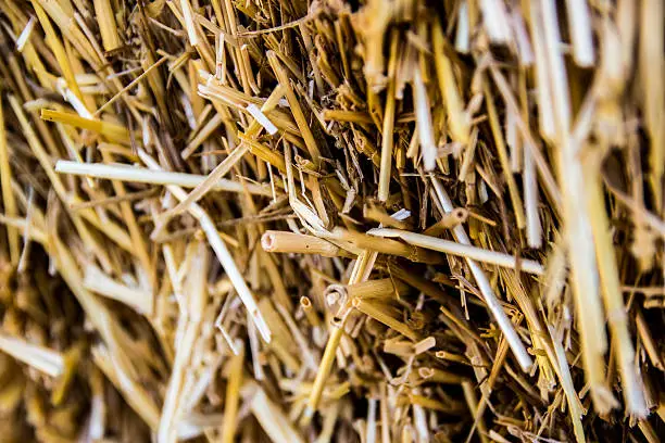 A macro of a hay bale