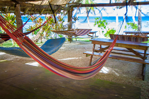 istock Lots of hammocks under the roof 625092878