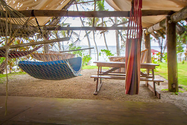 istock Lots of hammocks under the roof 625093036