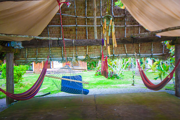 istock Lots of hammocks under the roof 625093058