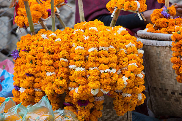 istock Marigold yellow flowers 625093196