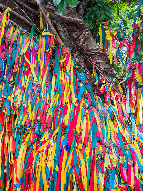istock Sacred tree in Koh Kret. 625094186