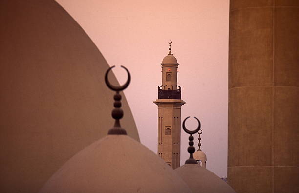 arabia emirates dubai - mosque imagens e fotografias de stock