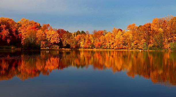 Foliage Lake stock photo