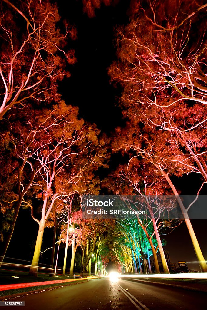 Kings Park - Perth, Western Australia King's Park - Perth Stock Photo Kings Park - Perth, Western Australia King's Park - Perth Stock Photo