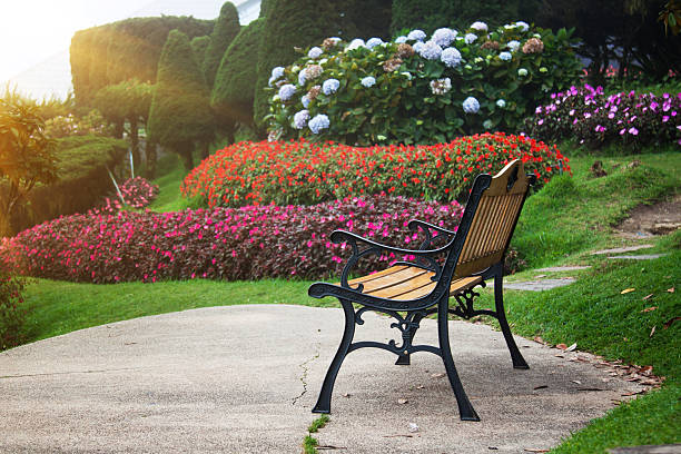 istock Garden flowers 625126184