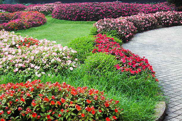 istock Garden flowers 625126324