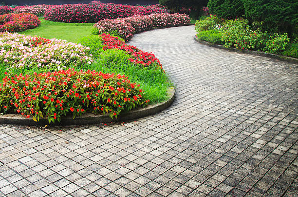 istock Garden flowers 625126402