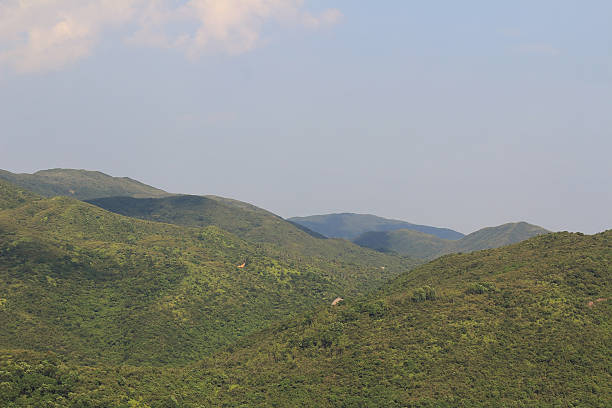 istock nature view of sai kung 625130346