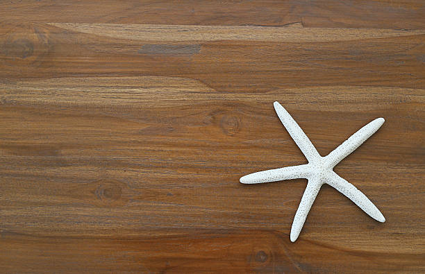 istock Starfish on wooden background 625131658