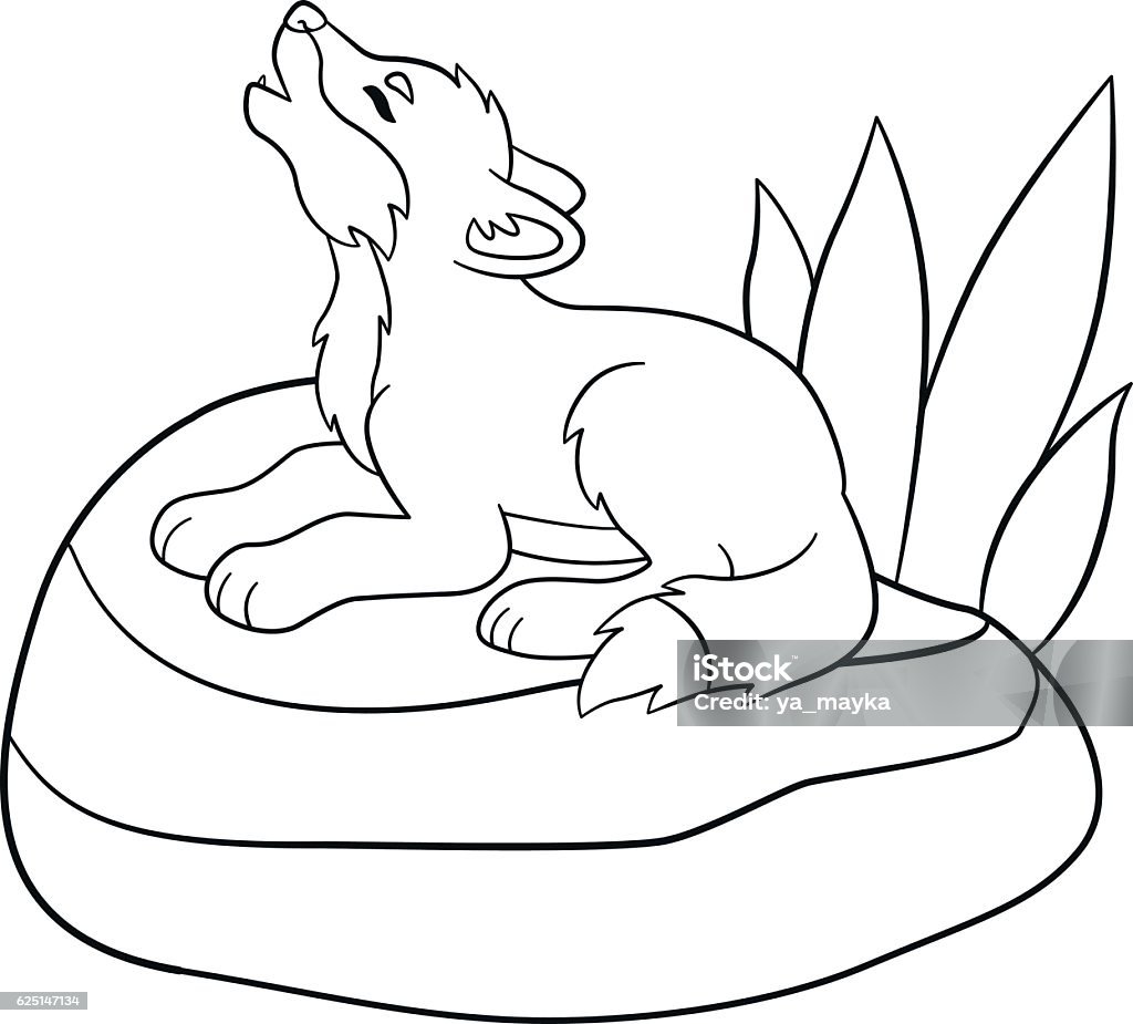 Coloring pages. Little cute baby wolf howls. Coloring pages. Little cute baby wolf lies on the stone and howls. Activity stock vector