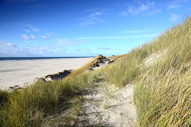 istock Beach on Amrum - Northern Germany 625147454