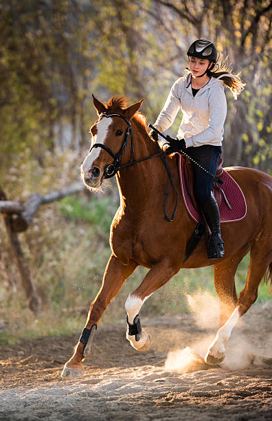 istock Young girl riding a horse 625162022