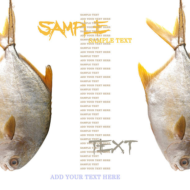 Pomfret
