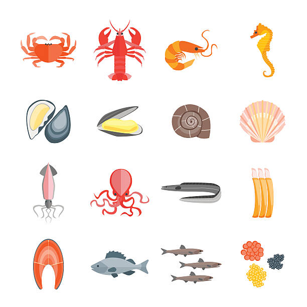 Set of Seafood. Vector Set of Seafood for Menu Your Kitchen. Flat Design Style. Vector illustration crustacean stock illustrations