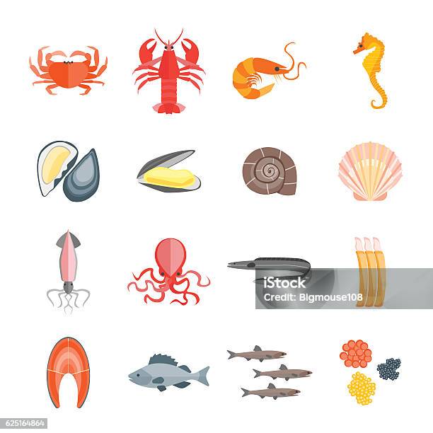 Set Of Seafood Vector Stock Illustration - Download Image Now - Seafood, Vector, Oyster