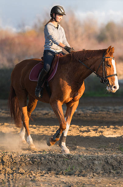 istock Young girl riding a horse 625164888